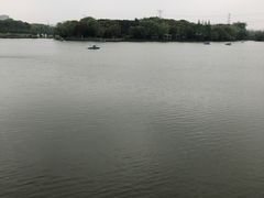 -昆山城市生态森林公园