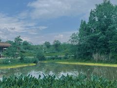 -桤木河湿地公园