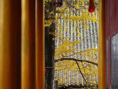 -金堂县云顶石城风景区