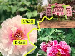 -仁和公园(顺义区)