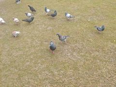 -上海大学(宝山校区)