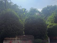 -忠山公园