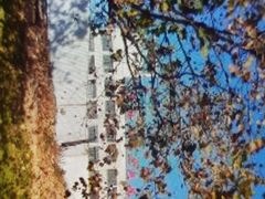 -崂山区第二实验小学