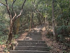 -梧桐山风景名胜区