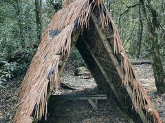 -云南屏边大围山国家公园