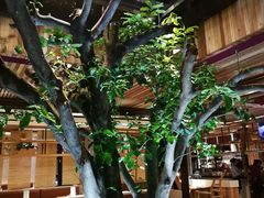 大堂-渔太泰漓江小馆·广西融合菜(西街店)