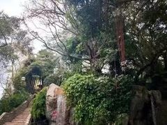 -九龙公园