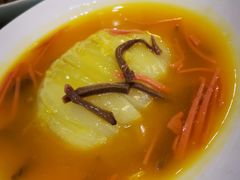 -蜀江春(科华北路店)