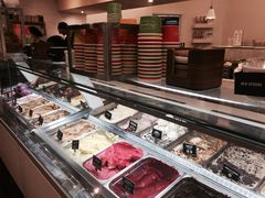 冰淇淋-Patagonia Chocolates(皇后镇店)
