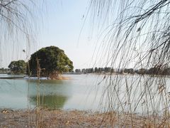 -梁鸿国家湿地公园