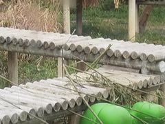 -苏州太湖国家湿地公园