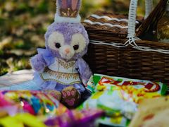 -上海共青森林公园