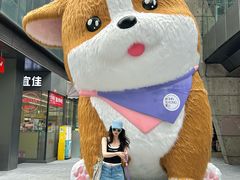 -新光里