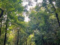 -广州市白云山风景名胜区