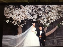 点击看大图 -太郎花子婚纱摄影艺术中心