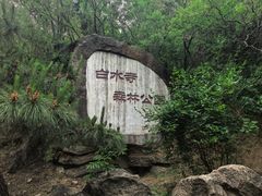 -白水寺森林公园