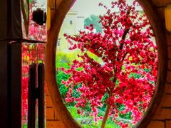 -园林美食城·本土农家菜(杨和镇店)