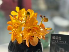 -止观小馆·辽河口渔家菜(王府井店)