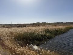 -水洞沟旅游区