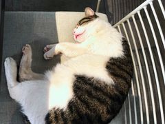 -UNI UNI(环亚凯瑟琳店)