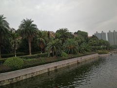 -圣爵菲斯大酒店(长沙世界之窗店)