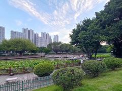 -光明港公园
