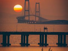 -宝安西湾红树林湿地公园