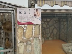 -北京市海淀外国语实验学校