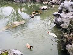 -巡塘古镇