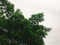 -武陵源汽车客运站