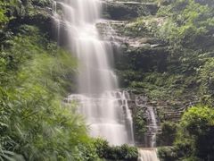 -碧峰峡风景区