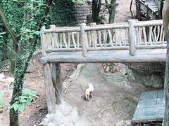 -杭州长乔极地海洋公园