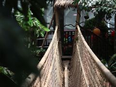 -正佳雨林生态植物园