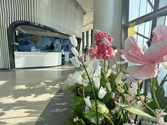 -平安金融中心云际观光层
