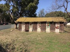 -合肥野生动物园