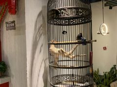 -清真·京华源铜锅涮肉(丰庆店)