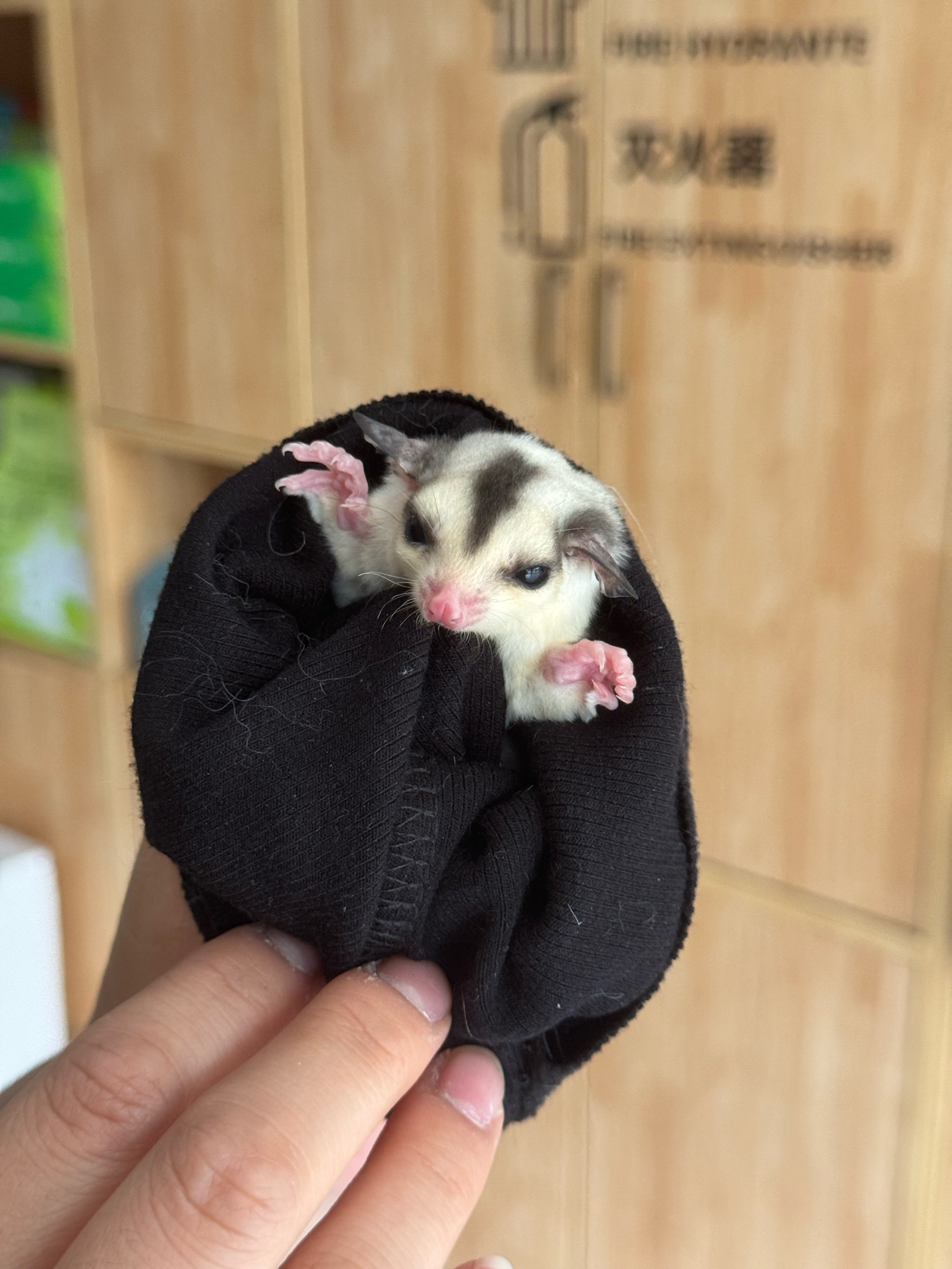 保定不宣传这个是有什么心事吗?