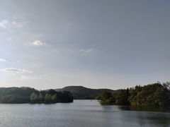 -佛手湖郊野公园
