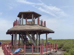 -北海金海湾红树林生态旅游区