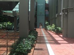 -香港大学