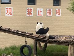 -石家庄极地海洋世界