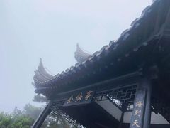 -石老人观光园