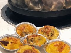 -半岛听涛蒸汽海鲜自助(K11店)