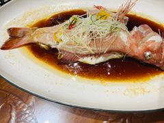 -龙悦湾酒家·八阵鱼生·渔人码头店