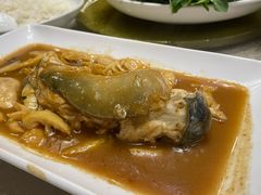 -孔庆璞河豚馆(白玉兰酒店)