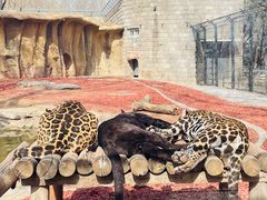 -北京野生动物园