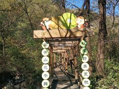 -大岭沟猕猴桃谷风景区