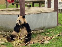 -杭州野生动物世界