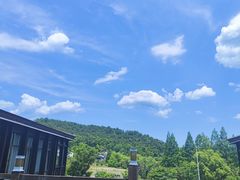 -山水一号·中餐厅