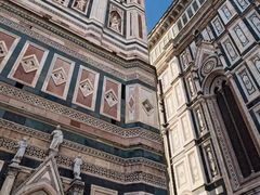 -圣母百花大教堂穹顶